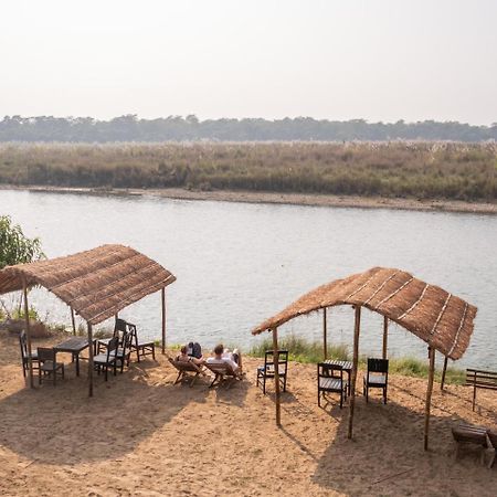 Jungle Wildlife Camp Hotel Sauraha Kültér fotó