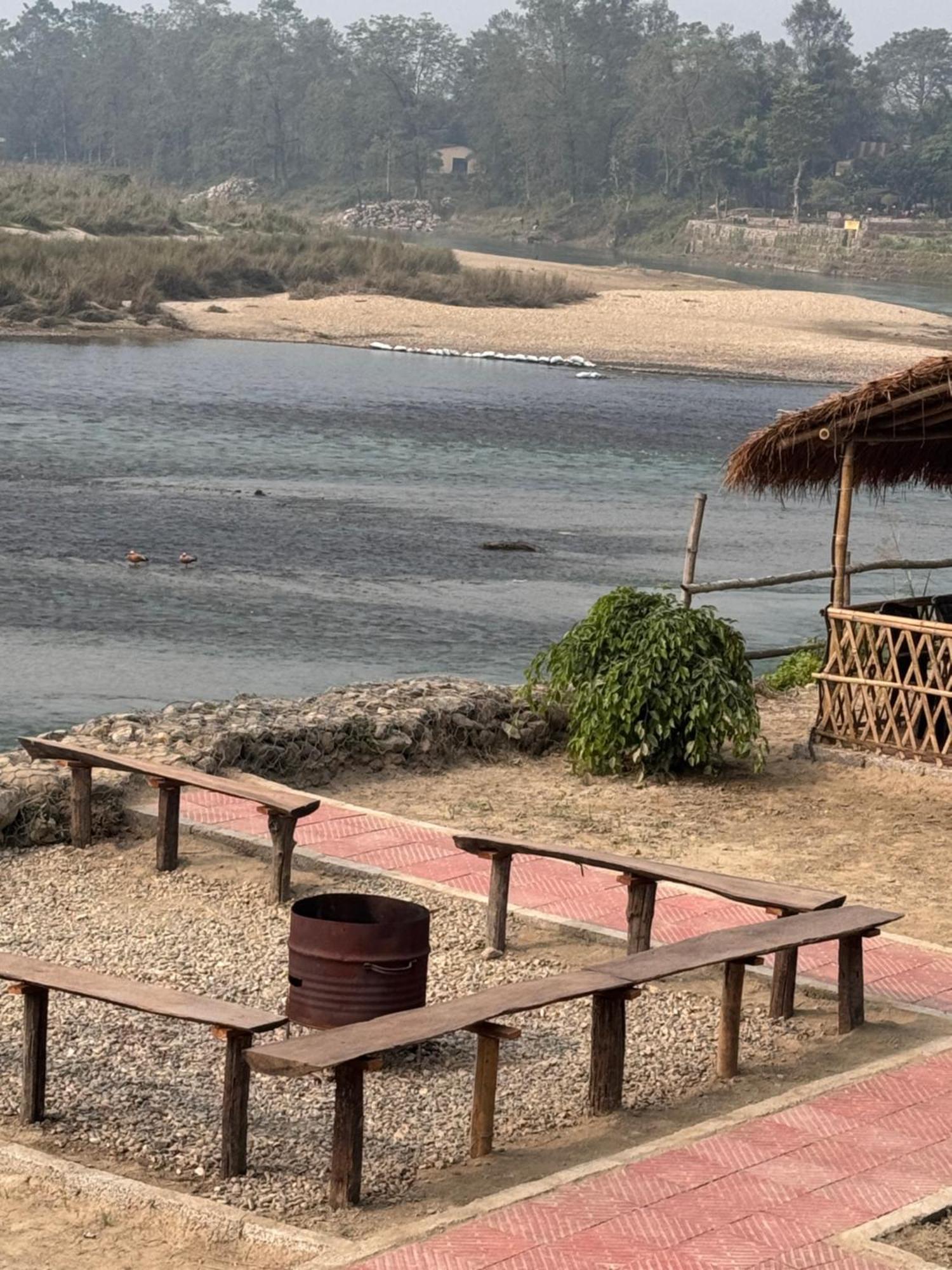 Jungle Wildlife Camp Hotel Sauraha Kültér fotó