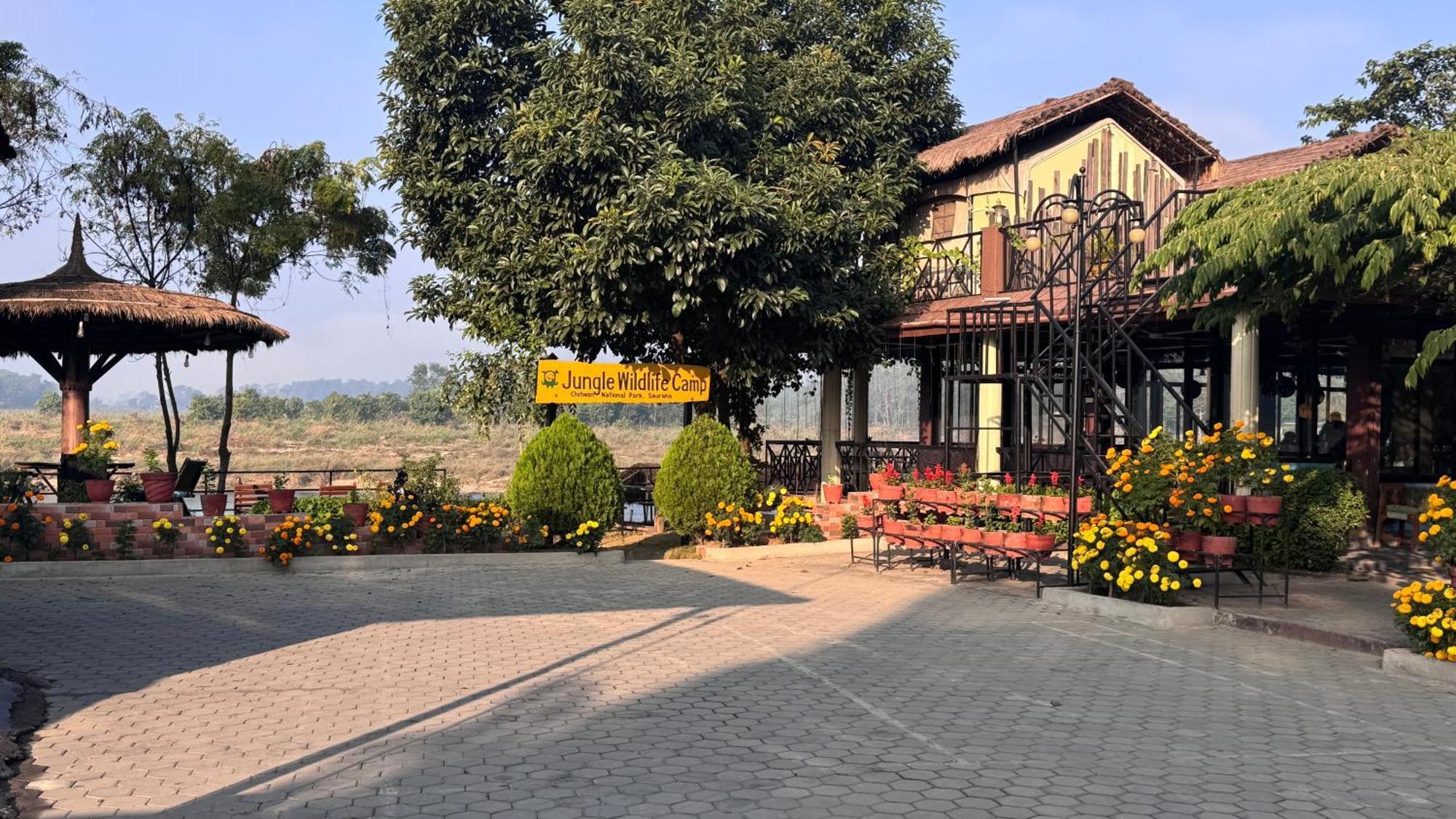 Jungle Wildlife Camp Hotel Sauraha Kültér fotó