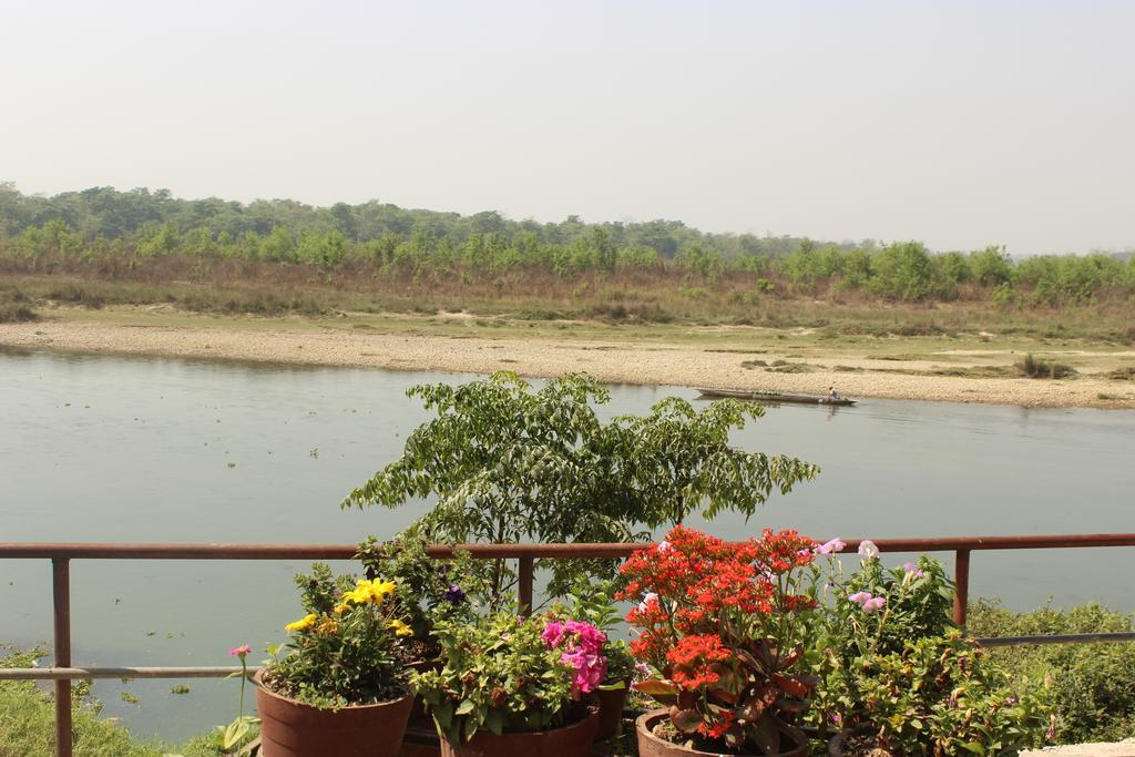 Jungle Wildlife Camp Hotel Sauraha Kültér fotó