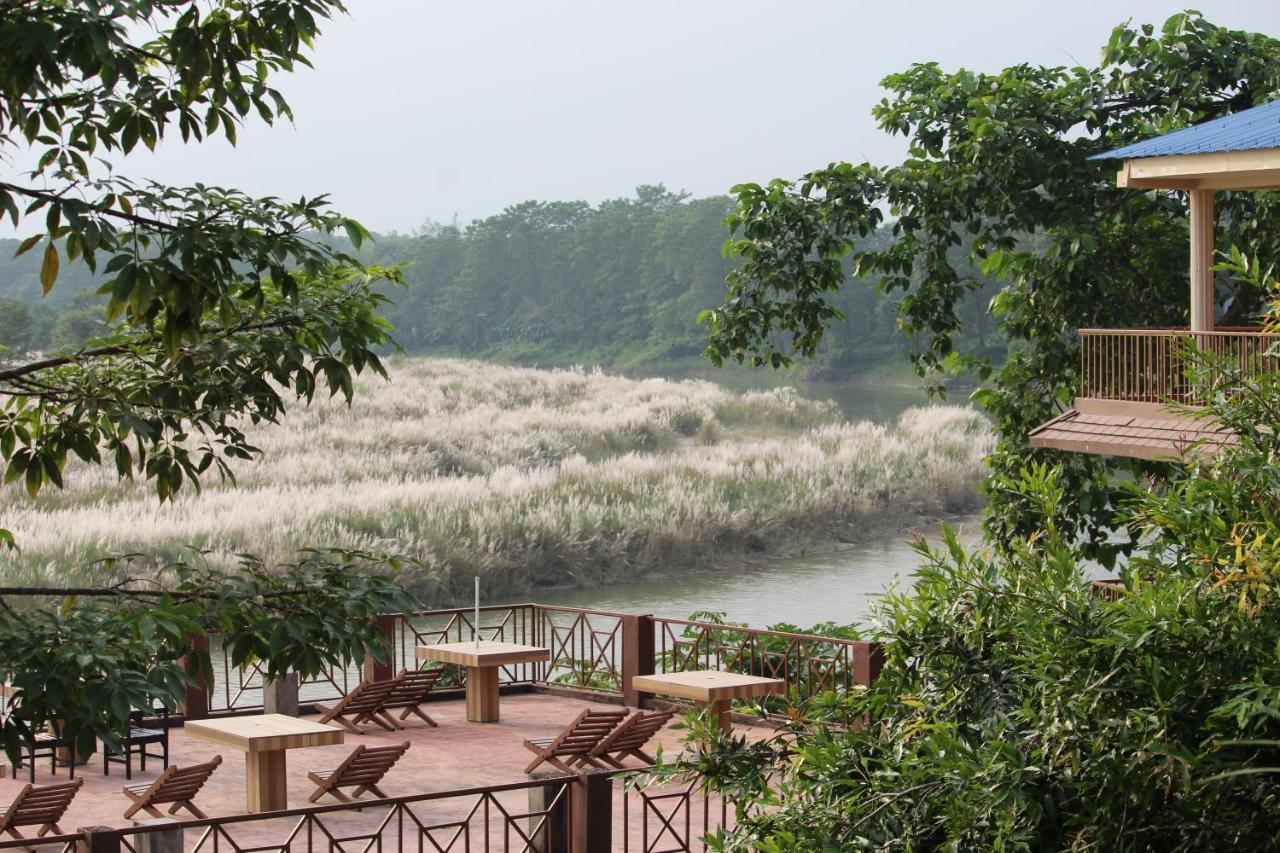 Jungle Wildlife Camp Hotel Sauraha Kültér fotó