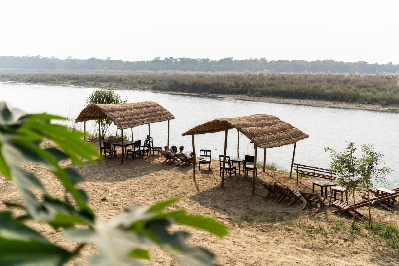 Jungle Wildlife Camp Hotel Sauraha Kültér fotó